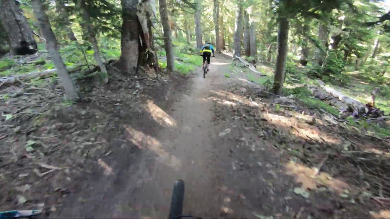 Timberline to Town [MTB PNW]