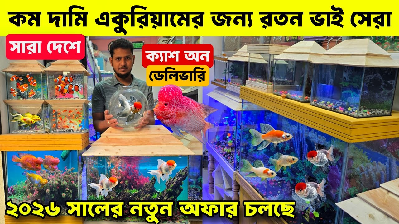 Aquarium Fish Price In Bangladesh 2025🐠Aquarium Fish Price | Aquarium | Aquarium Fish Price In BD🐠