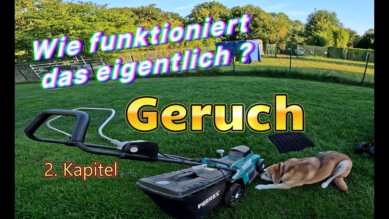 Spürhundsport: Wie funktioniert Geruch ?  2 Kapitel