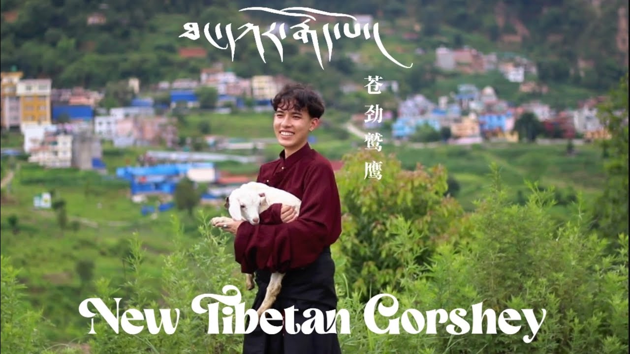 White Vulture | 苍劲鹫鹰 | ཐང་དཀར་རྒོད་པོ། | Trending Tibetan Gorshey 