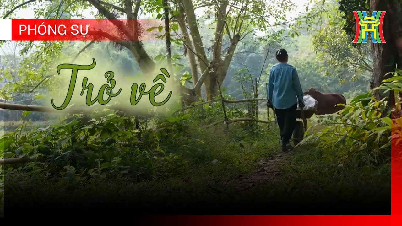 Trở về | Ph&oacute;ng sự t&agrave;i liệu