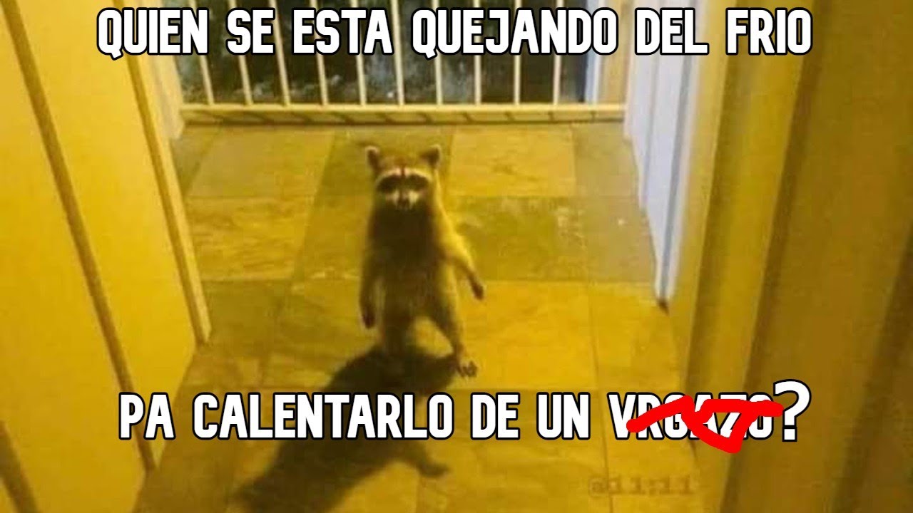 Team Frio aunque se me congelen los mocos | RDDC #175