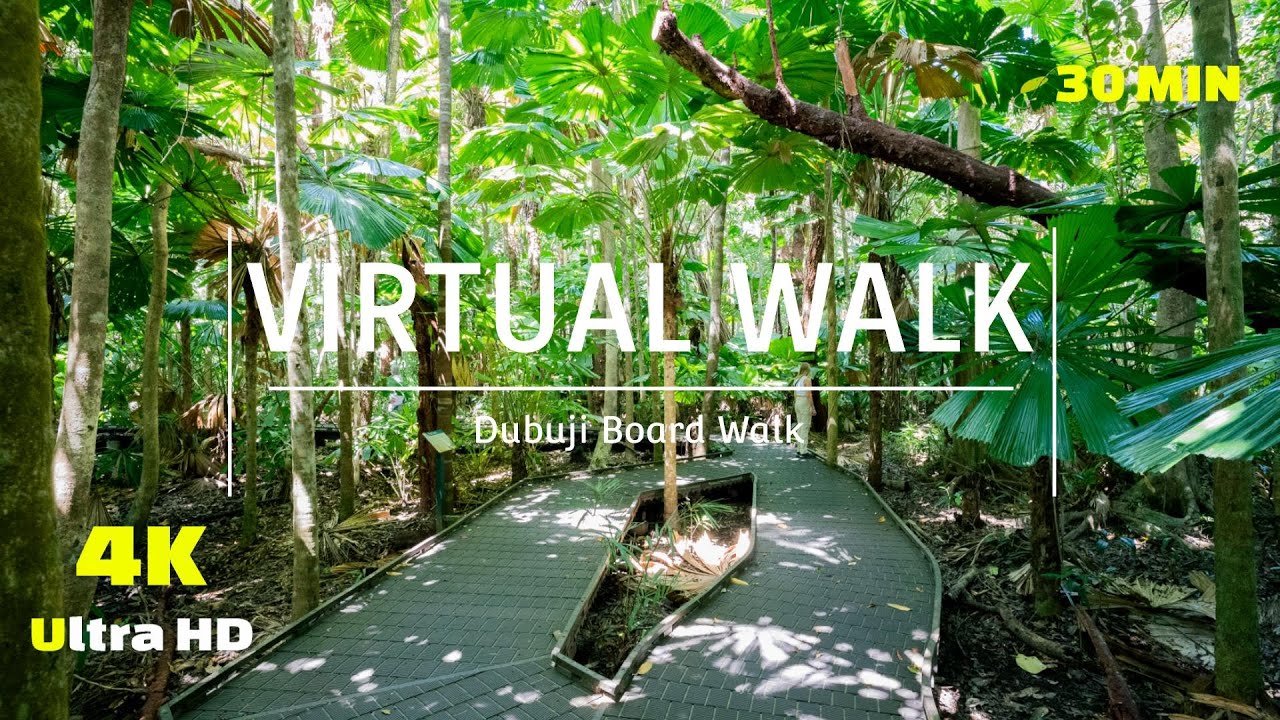Virtual Walk - Jungle Walking Tour - Dubuji 4K - Treadmill Video - Virtual Scenery - Australia