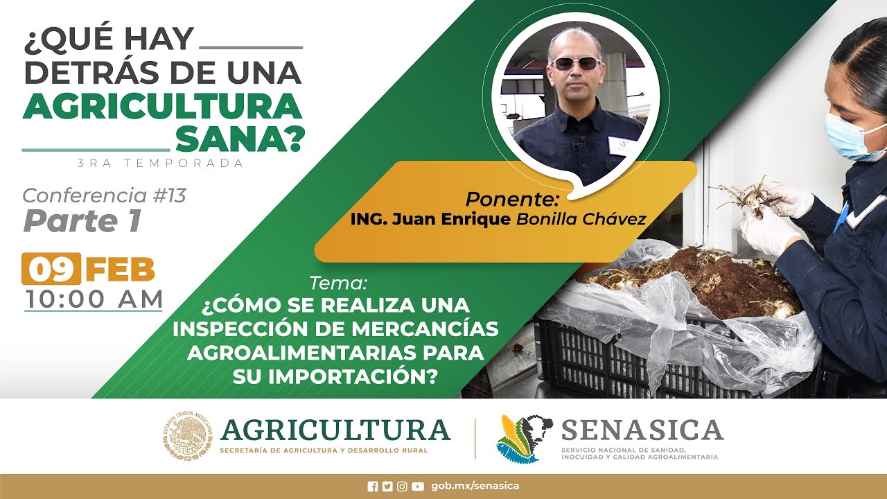 Ep. 13 ¿Cómo se realiza una inspección de mercancías agroalimentarias para su importación?