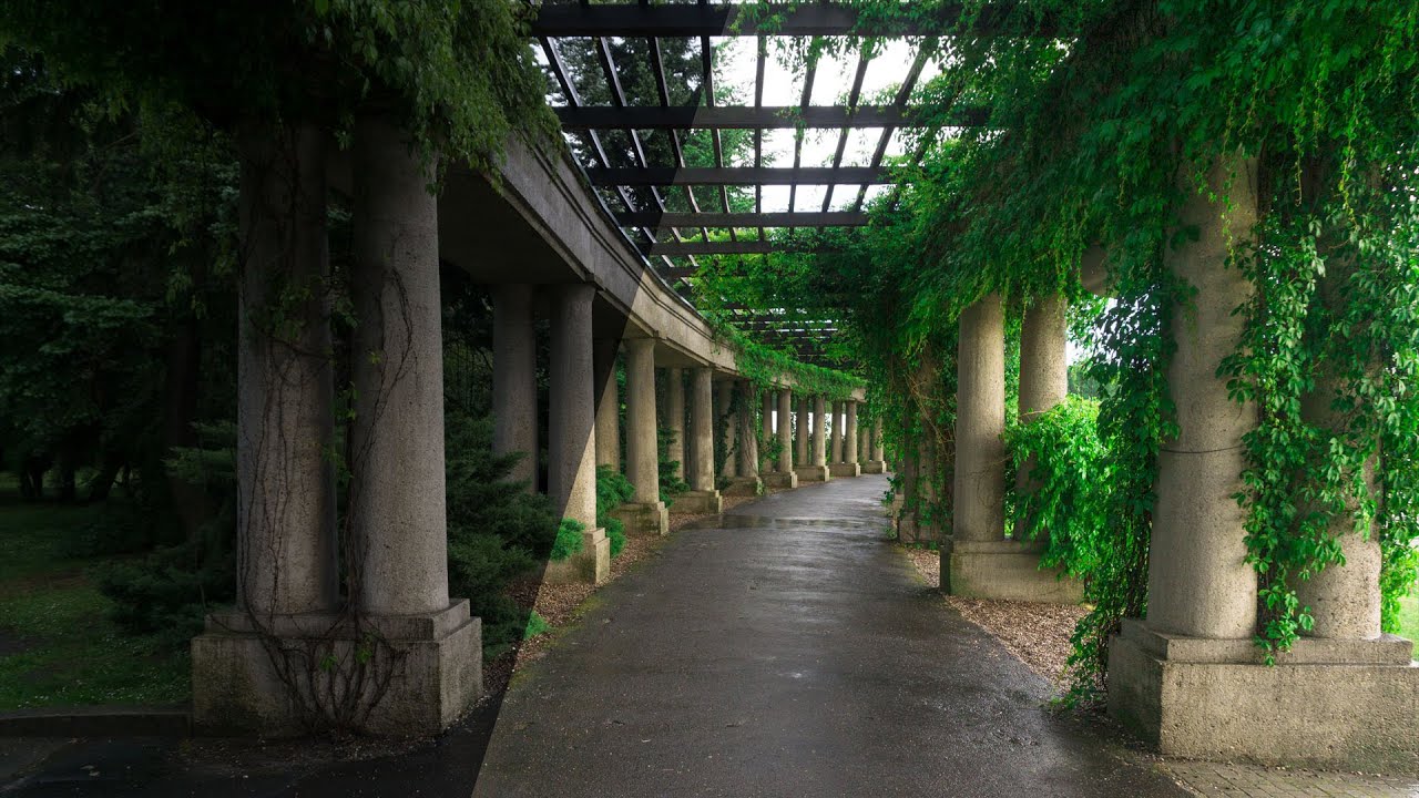 Edycja Zdjęć w Camera Raw