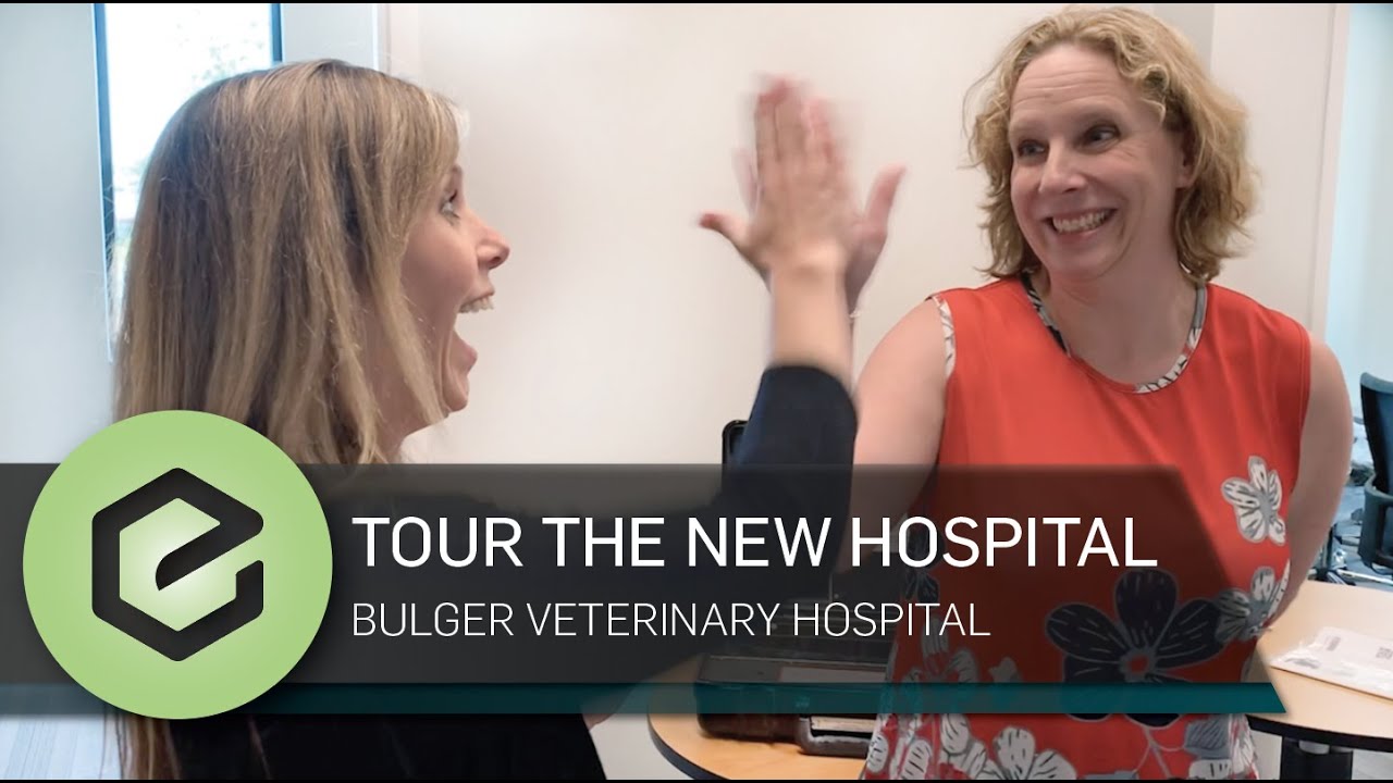 The PAWEDcast: Bulger's New Hospital Tour