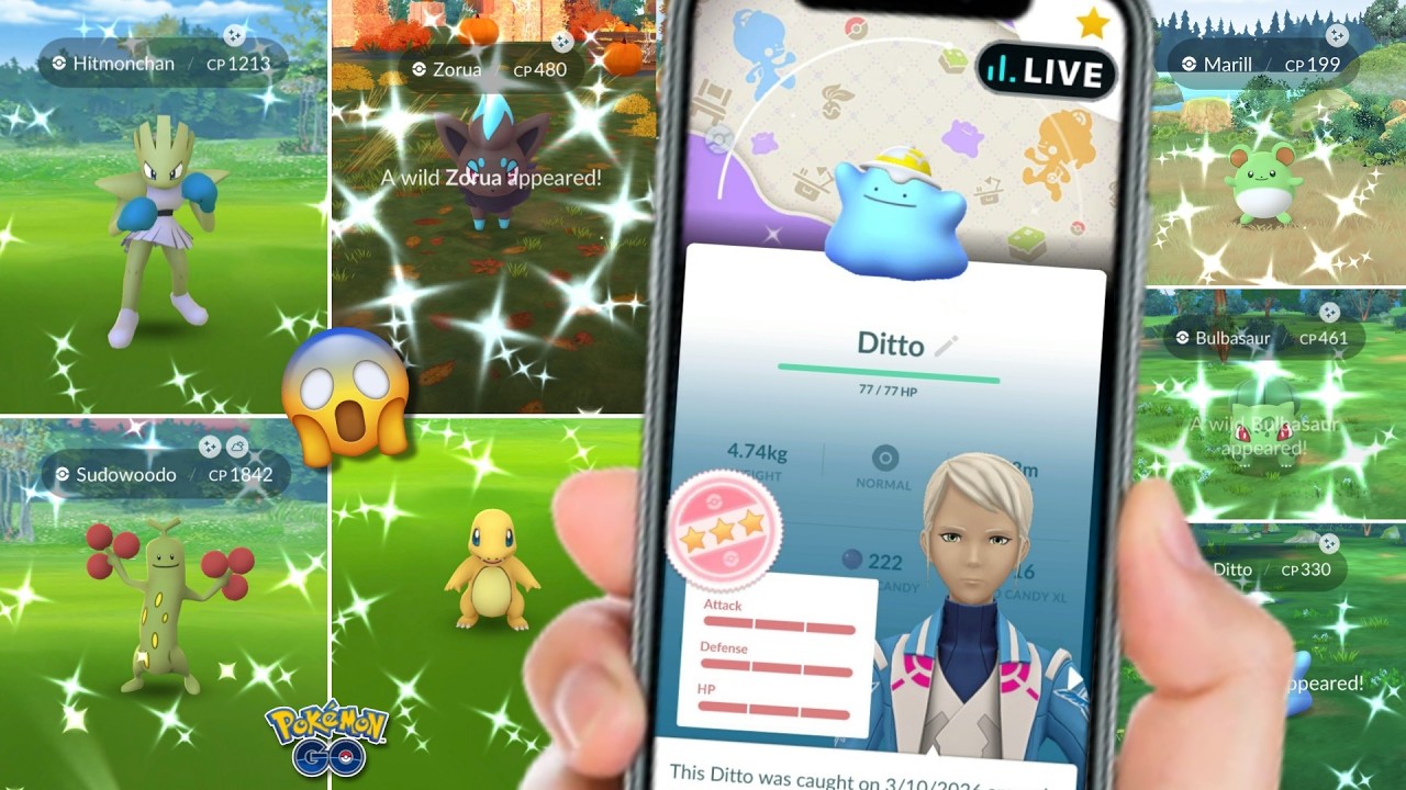 Shundo Ditto, Shiny Zorua Hunt Pokemoon Go Live | Shiny Costume Ditto Event Pokemoon Go 2026 #2