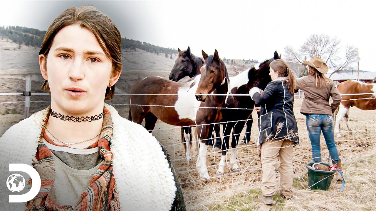 Snowbird aprende a andar a cavalo | A grande família do Alasca | Discovery Brasil