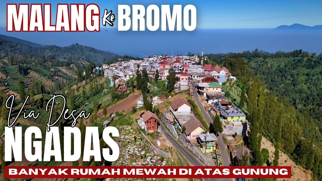 BANYAK RUMAH MEWAH DIATAS GUNUNG...‼️ Malang ke bromo via desa ngadas 