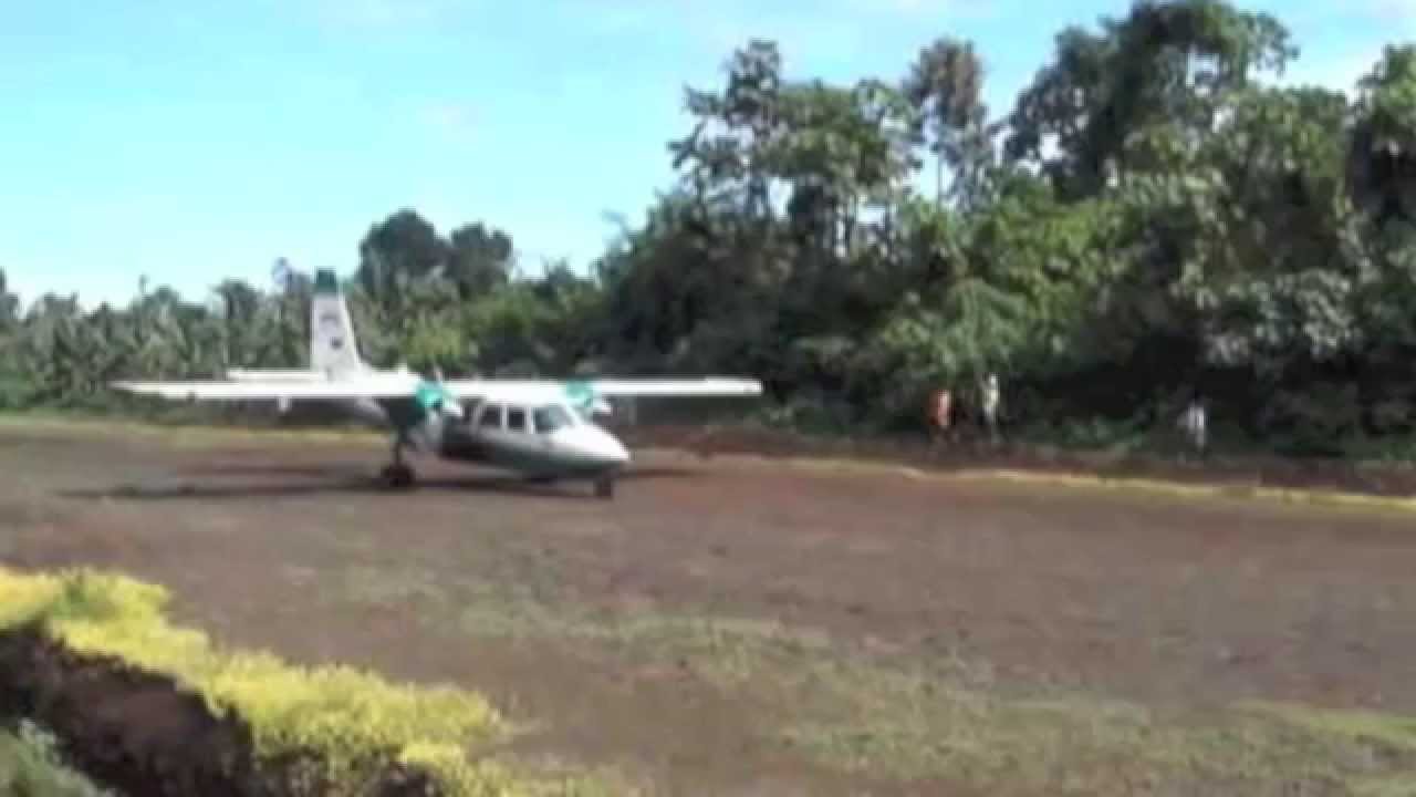 El Tigrillo Palma 2012 - El Levanton