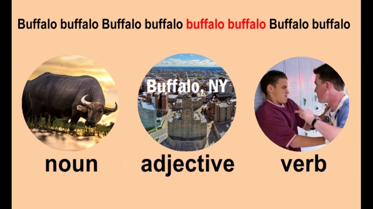 One-word Sentences: Buffalo buffalo Buffalo