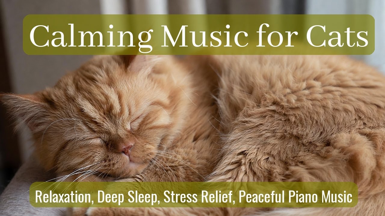 Calming Music for Cats - Relaxation, Deep Sleep, Stress Relief, Peaceful Piano Music | Season 25