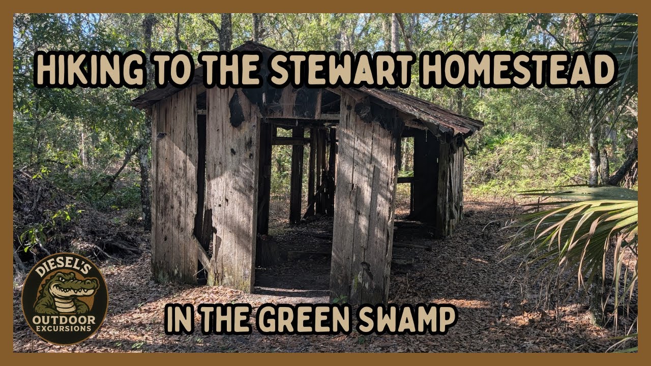 Hiking to the Stewart Homestead in the Green Swamp/ Florida Trail