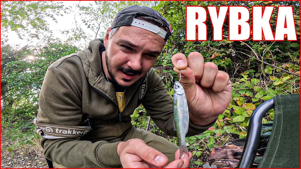 Technika lovu na těžko s rybkou / Jak ulovit candáta na jezeru