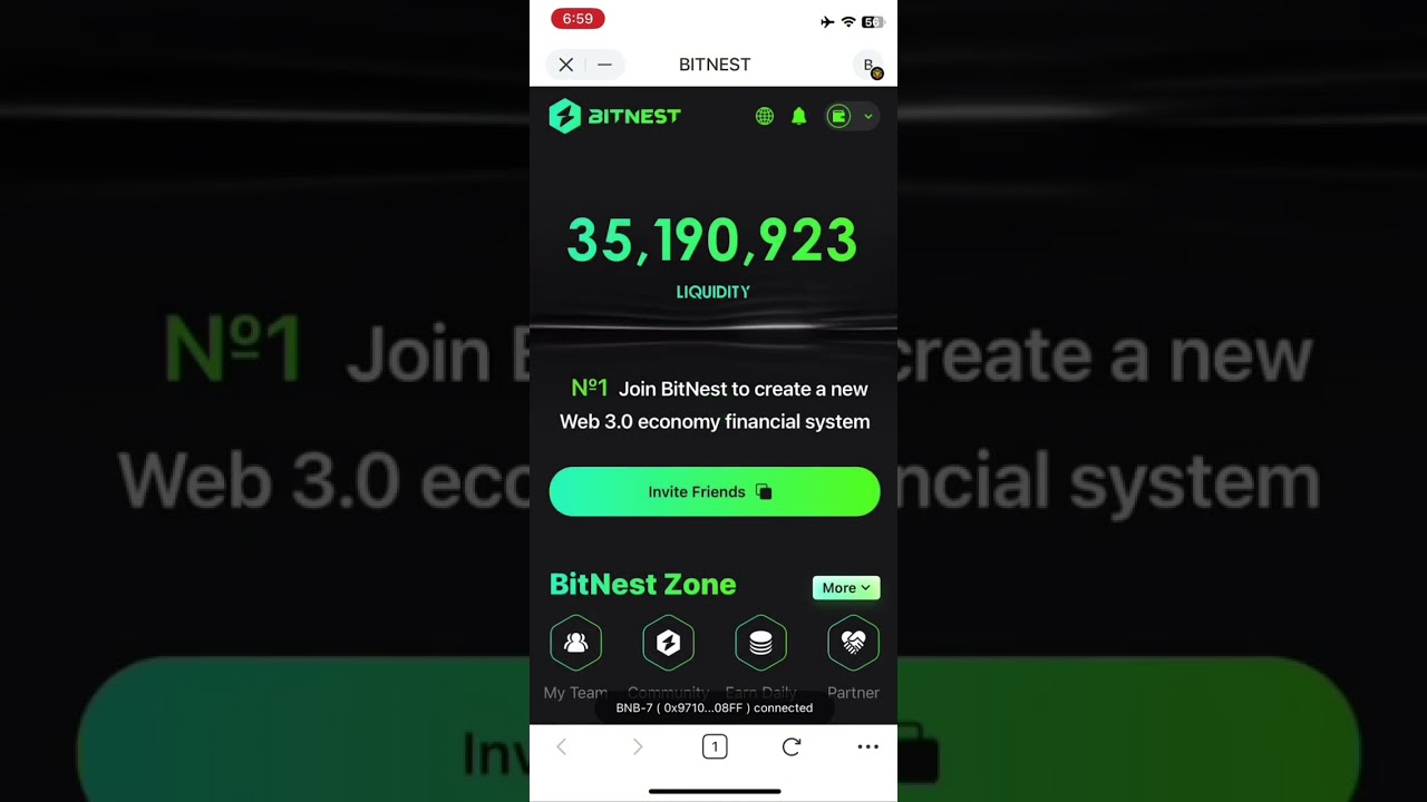 Bitnest Loop C (BITNEST 2.0) ( 
