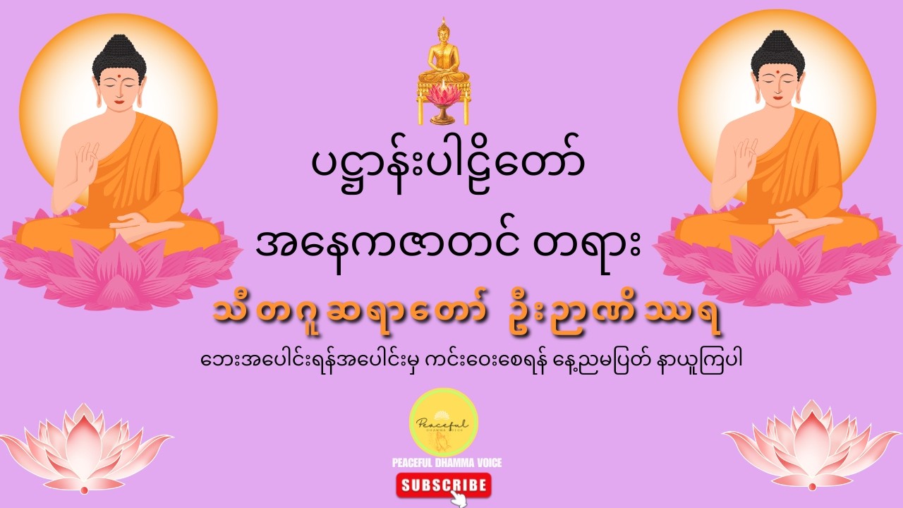 ပဋ္ဌာန်းပါဠိတော် အနေကဇာတင် တရား - ဦးဉာဏိဿရ