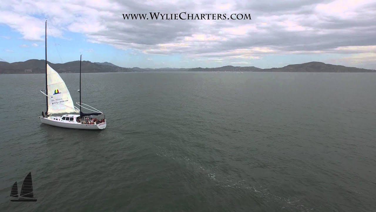 Wylie Charters- The Derek M. Baylis