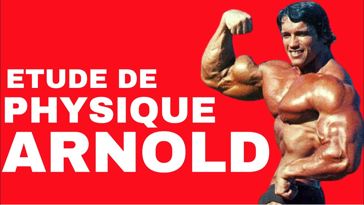 Etude des Physiques : Arnold Schwarzenegger