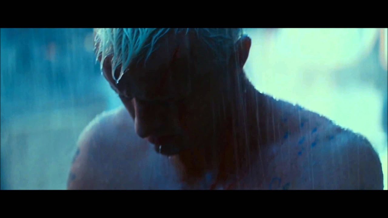 the waterboys/ paris in the rain/ rutger hauer