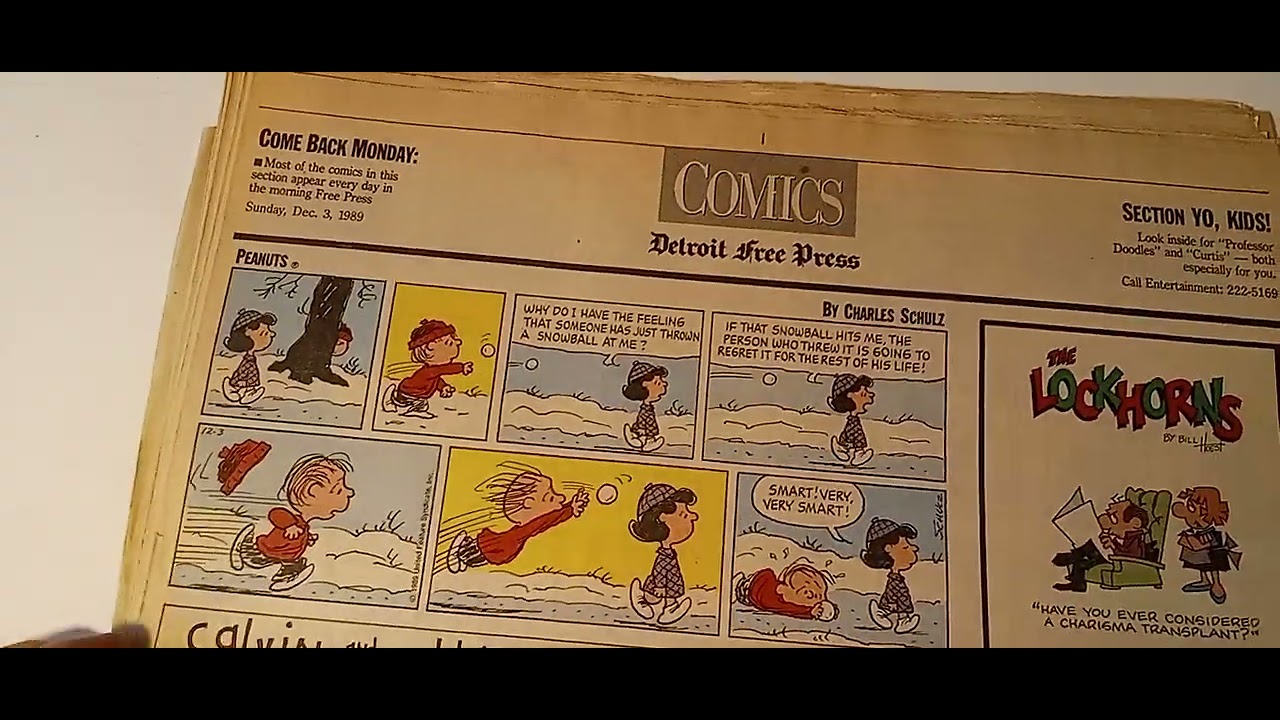 Comparing a Sunday newspaper comic strip section from 1989 and 2024