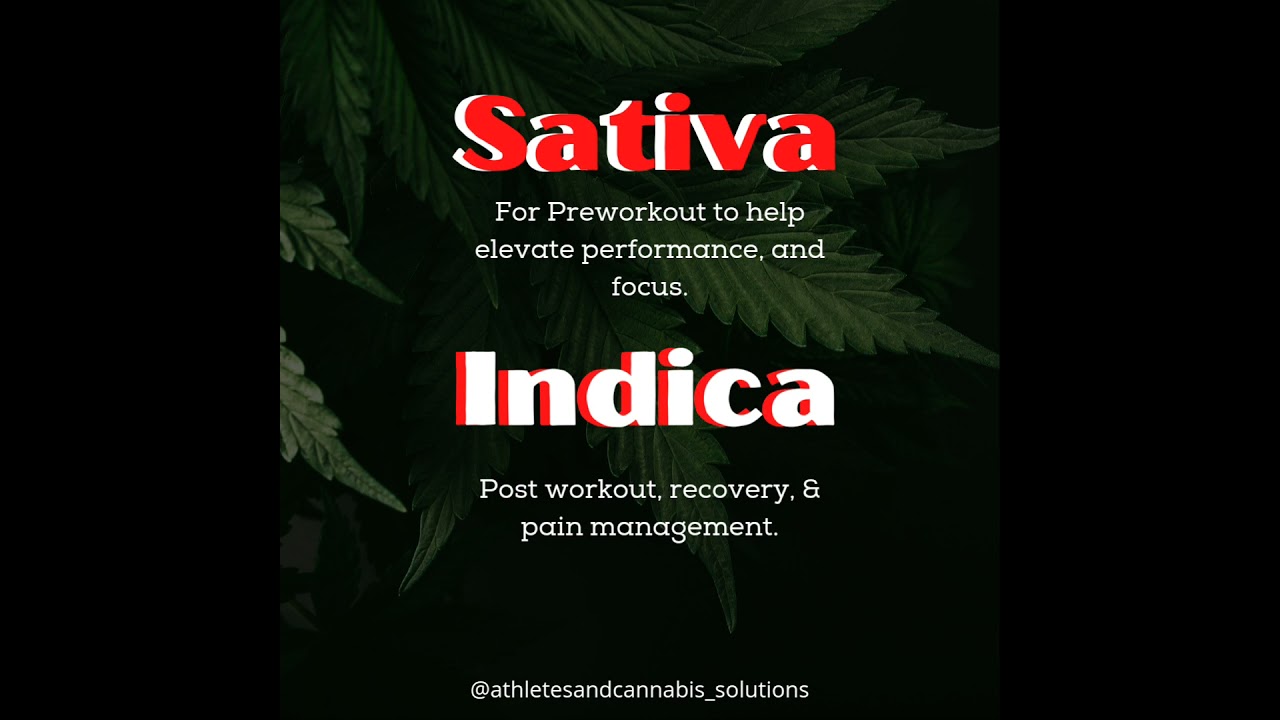 what's your preference? Sativa or indica
