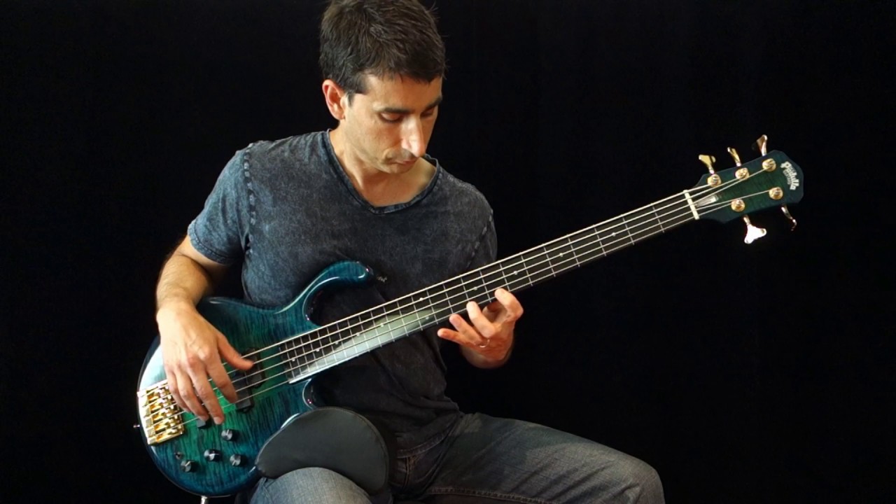 FRETLESS BASS - Damian Coccio