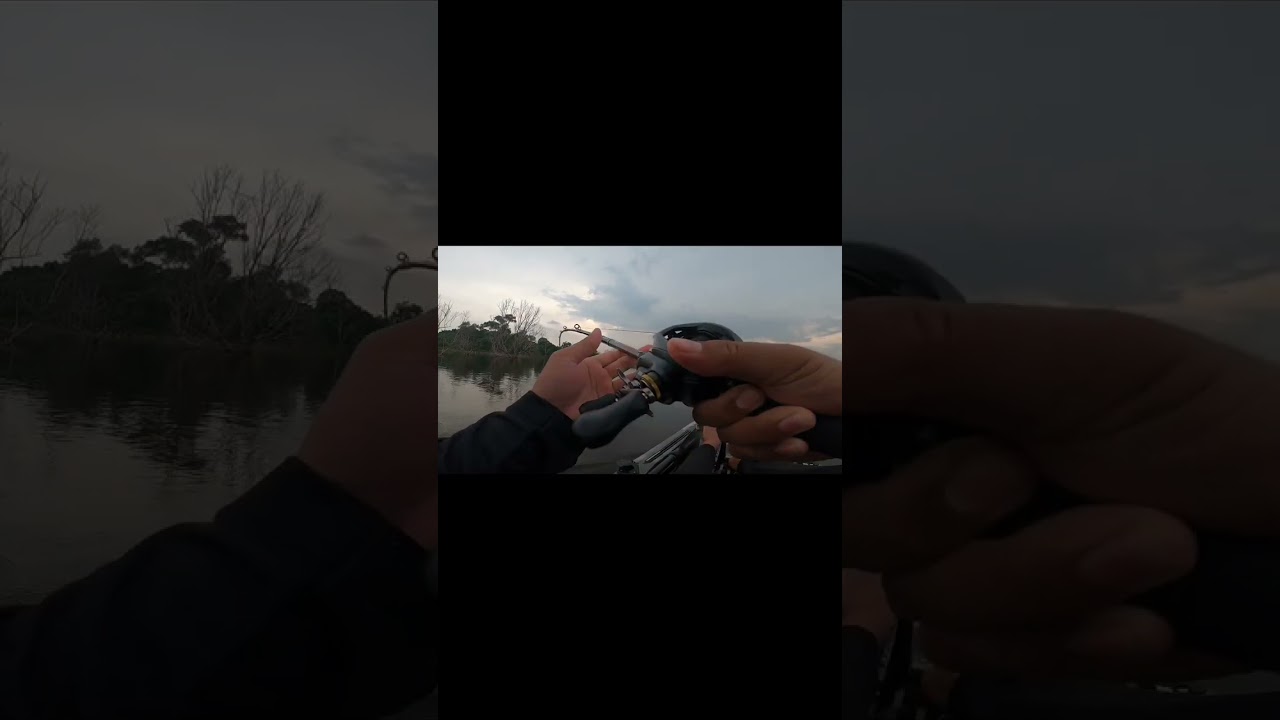 KayaX Travel Gear Vs KayaX Mana Mama #70