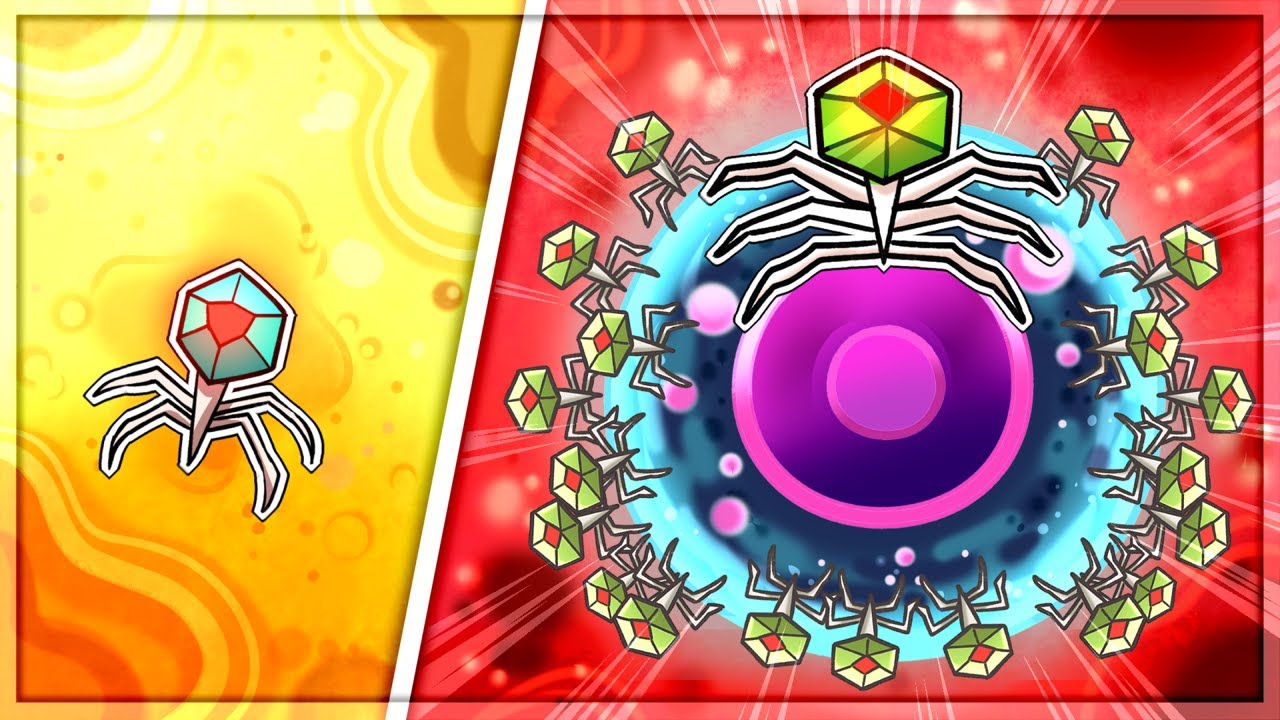I Evolved The DEADLIEST BACTERIOPHAGE Ever in Infectious