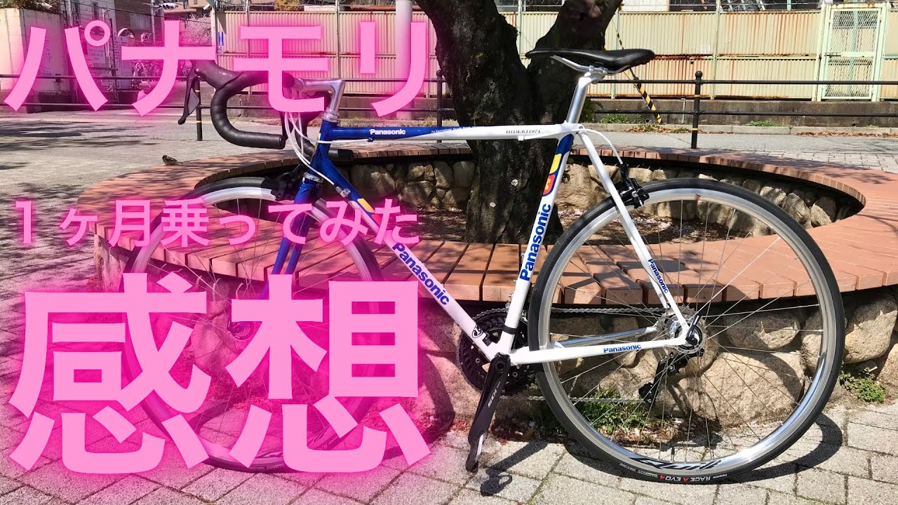 ( ；´Д｀)パナモリ君一ヶ月乗ってみて…