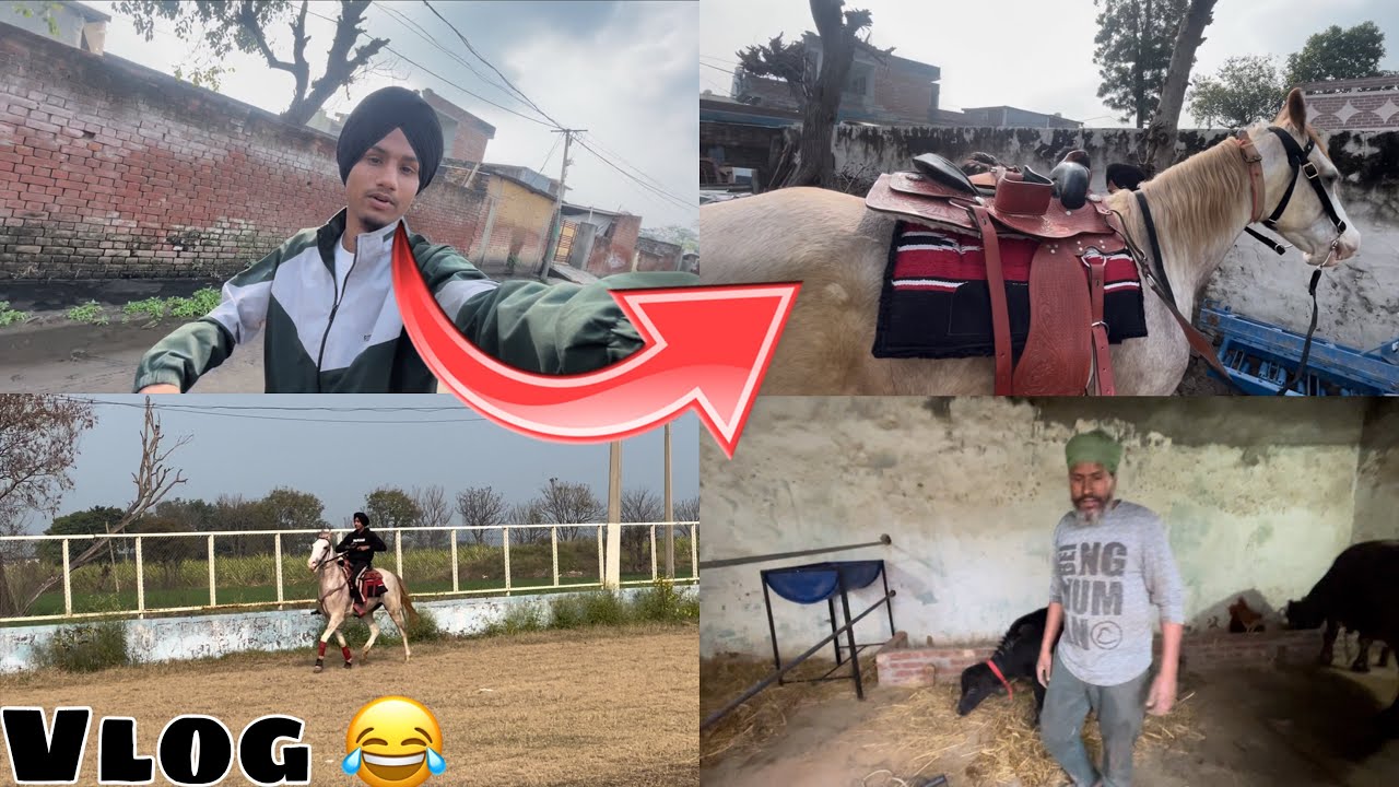 HORSE 🐎 RIDING VLOG 😂 2026 