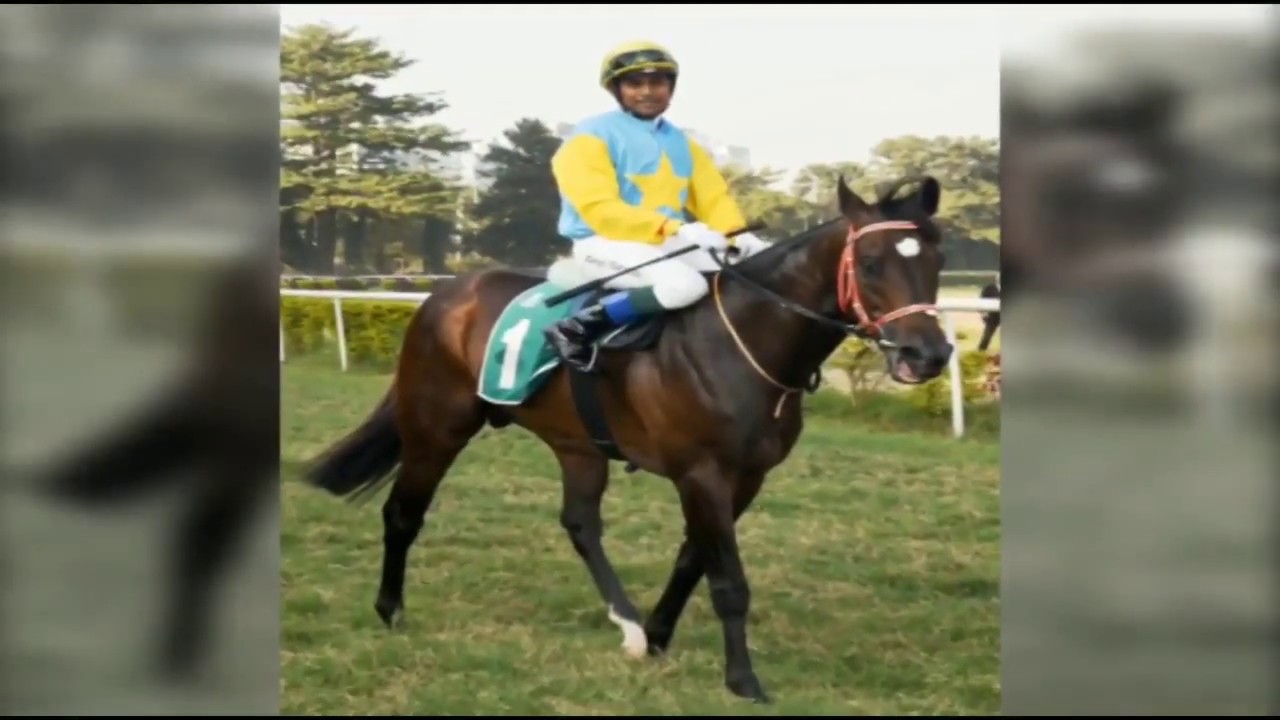Champion Sprinter Multitude Retires