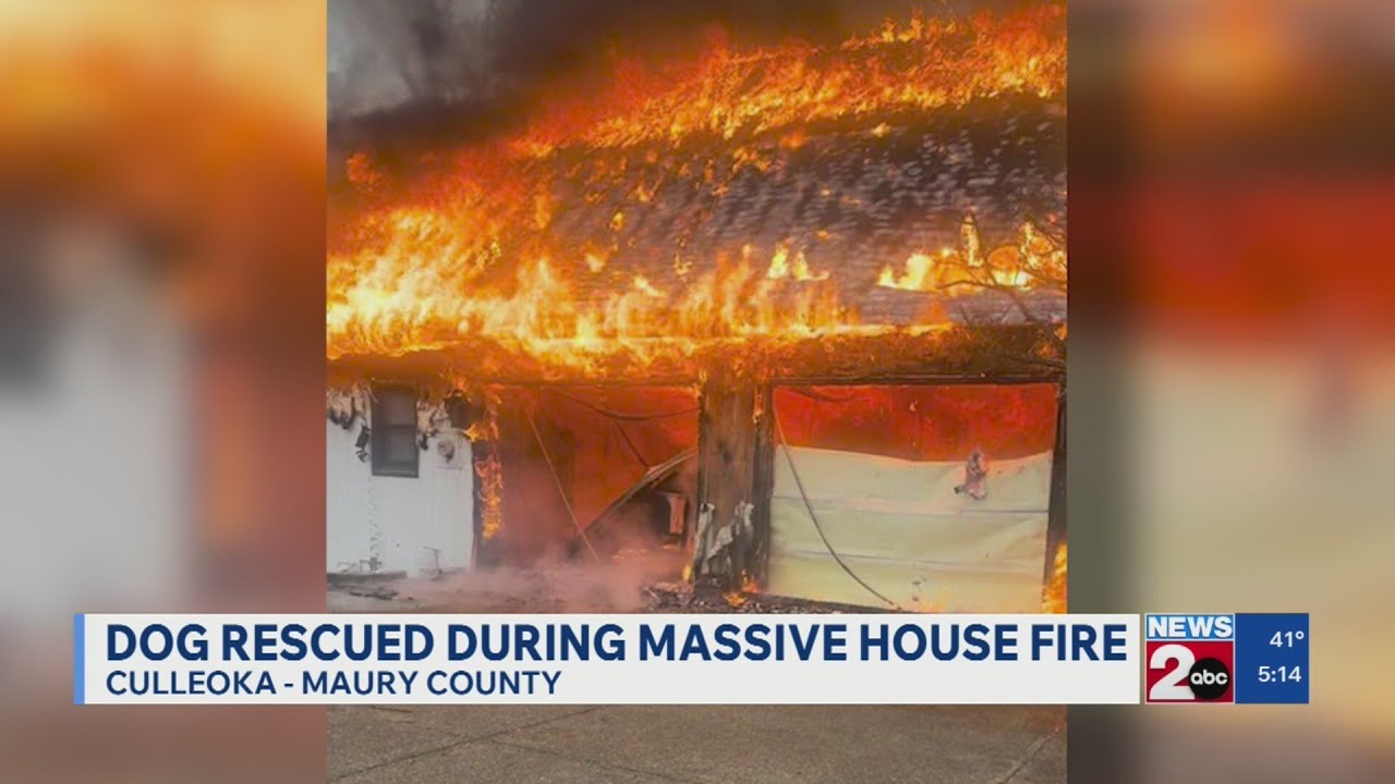 Dog rescued from massive house fire in Culleoka, TN