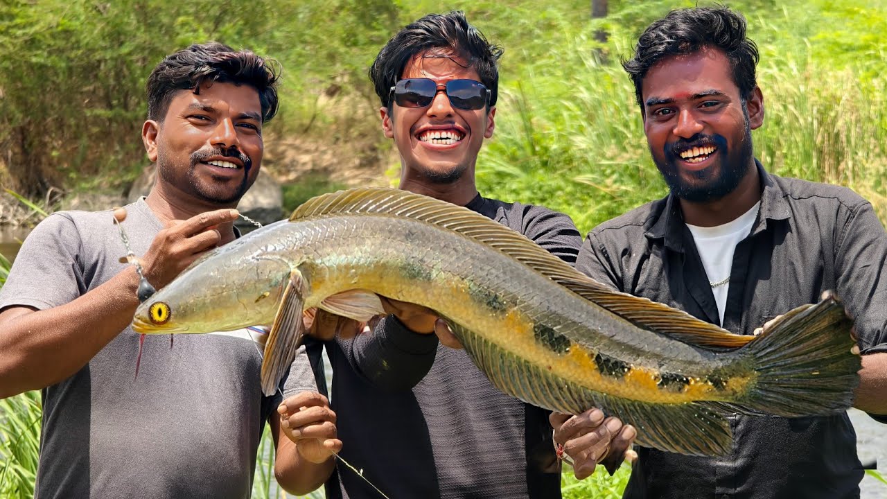 RARE Moment! XXL விரால் மீன் பிடிச்சோம் – But We Let It Go! 😱 | Unbelievable Catch & Release”