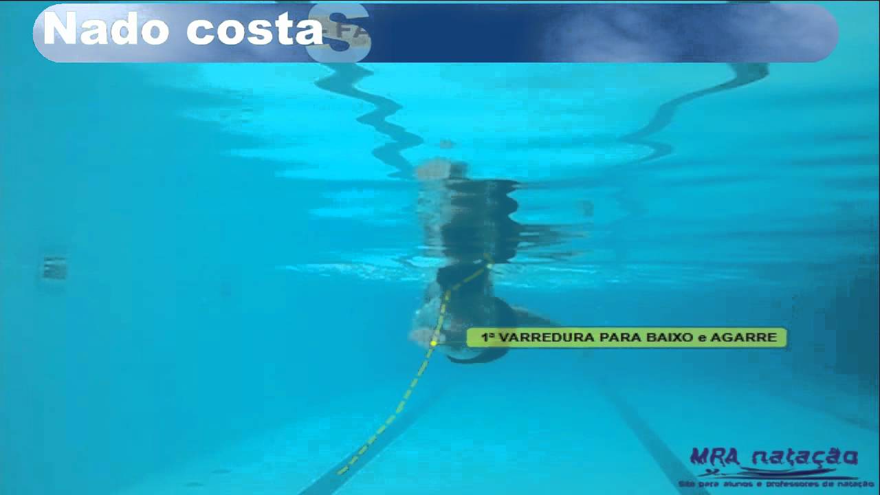 NADO COSTAS - FASES DA BRA&Ccedil;ADA vis&atilde;o frontal (MAGLISCHO, 2010)