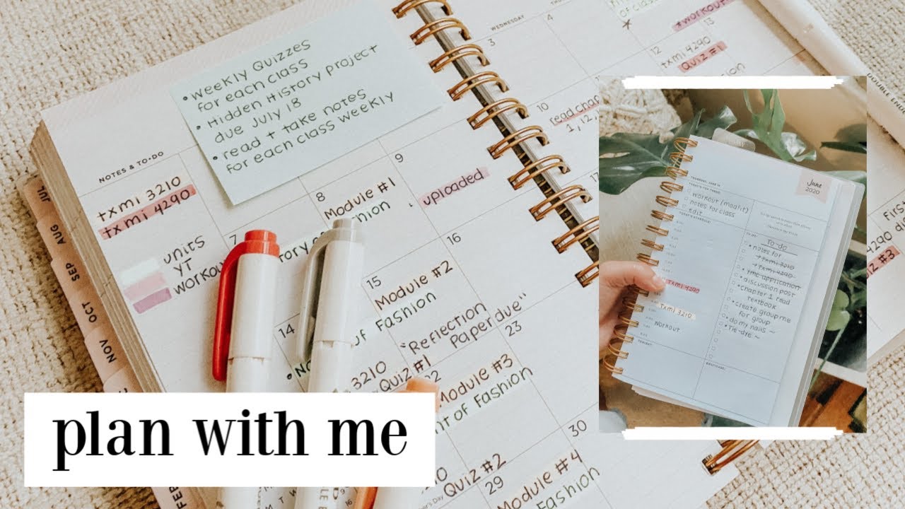 plan with me june | day designer planner