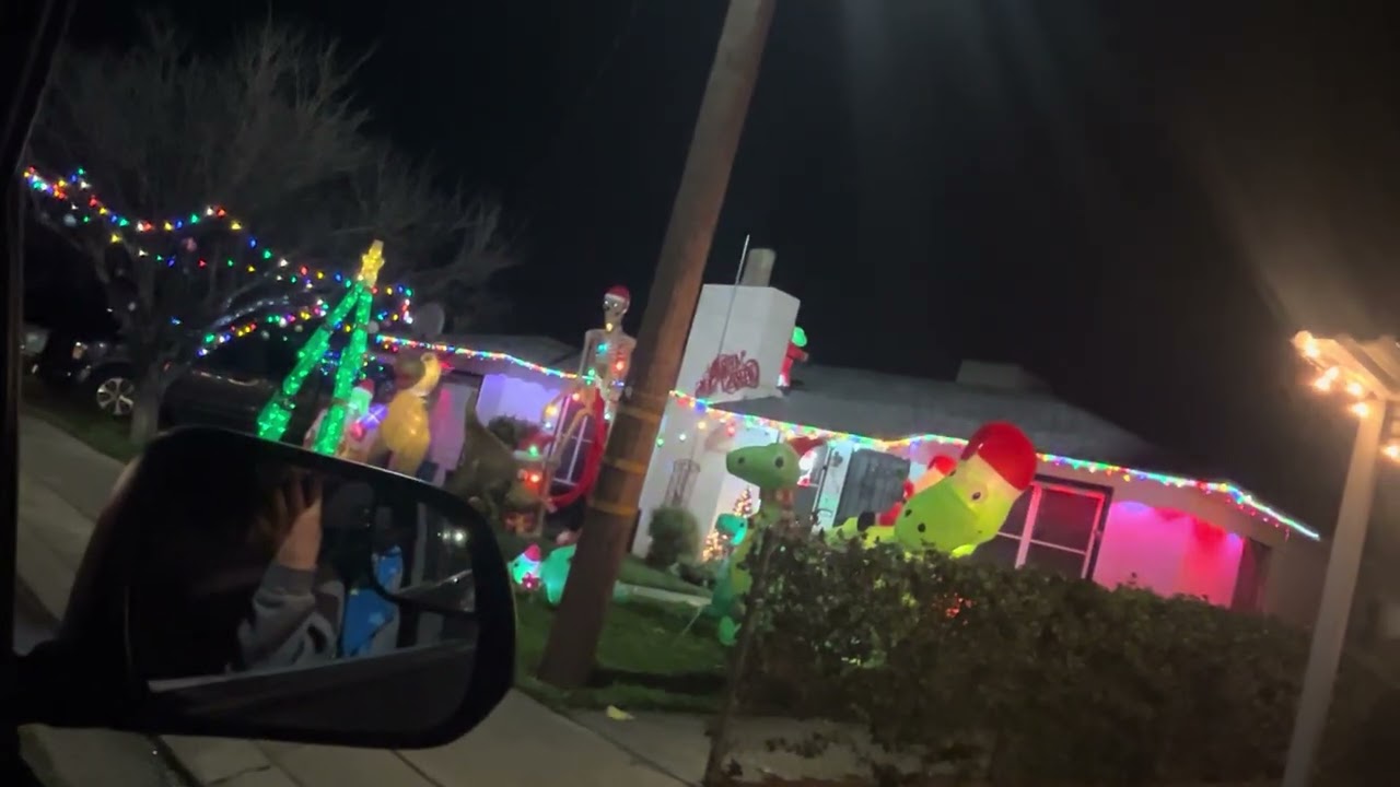 Merry Christmas Modesto California tree lane 