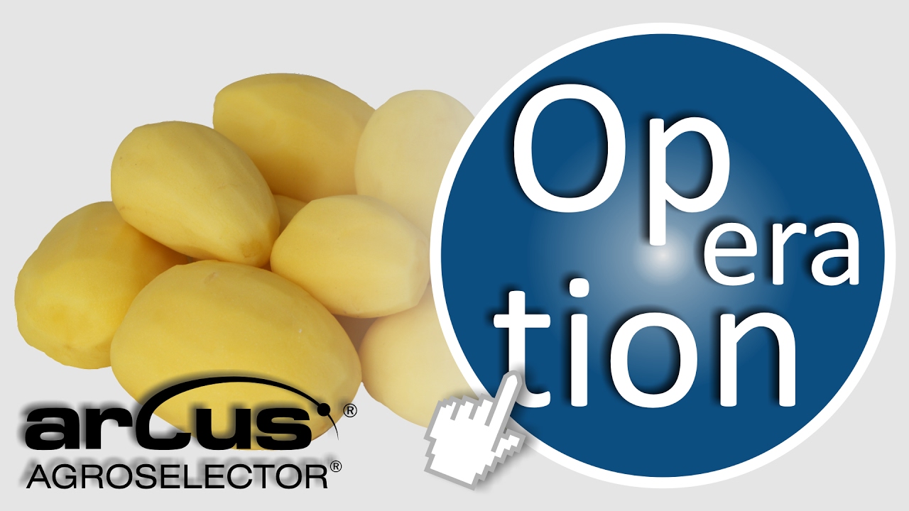 Grading Peeled Potatoes (AGROSELECTOR® arcus® - in operation)