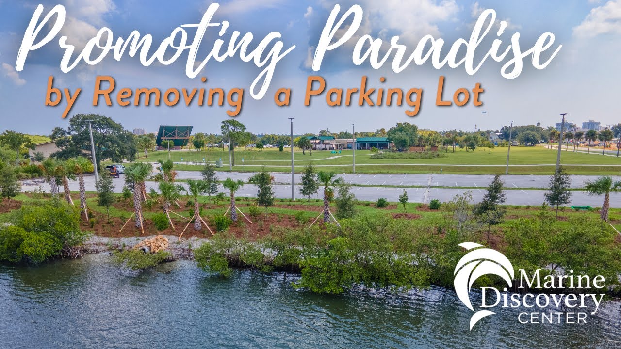Promoting Paradise By Removing a Parking Lot