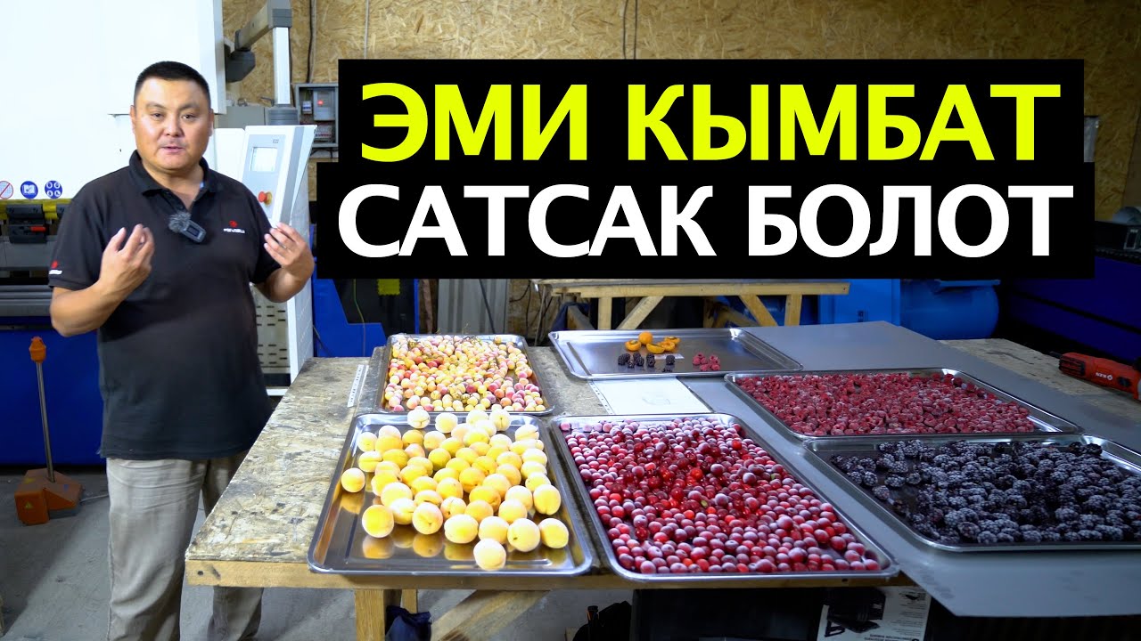 Сбыт маселесин чечсе болот! Кышында дагы доход алалы! Шоковая заморозка технологиясы, Толук процесс.