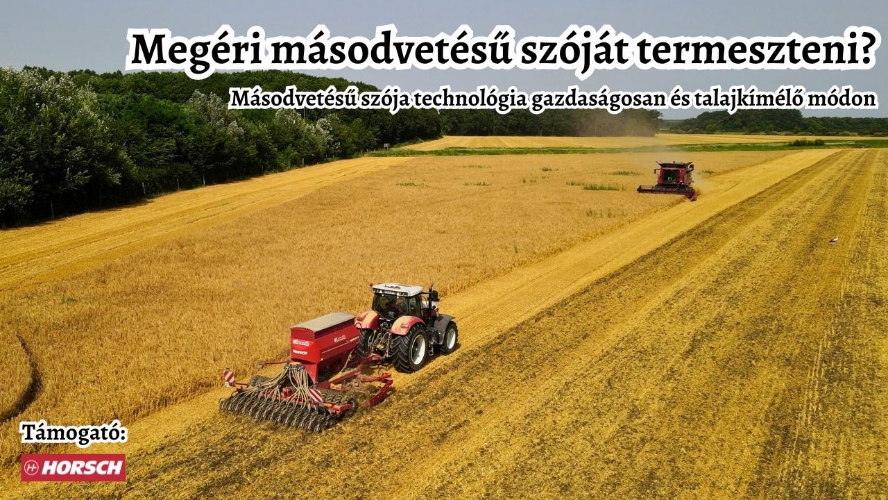 Másodvetésú szója őszi árpa tarlóba? Megéri! | A szója másodvetése talajkímélő és gazdaságos módon