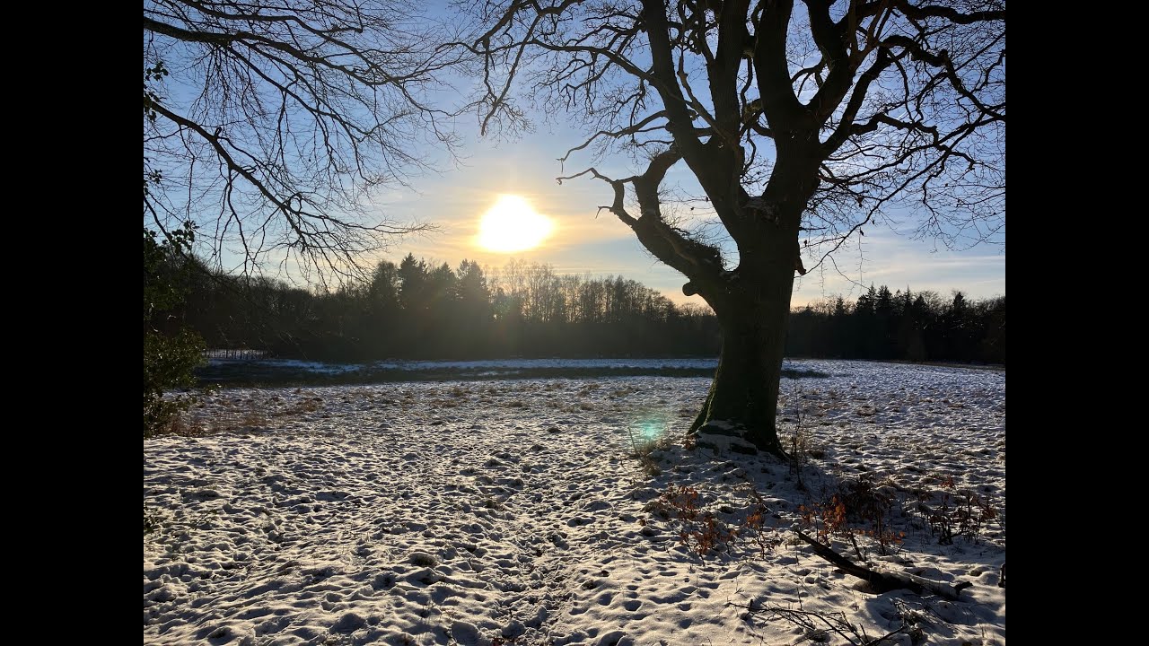 Meditation im Geist Gottes