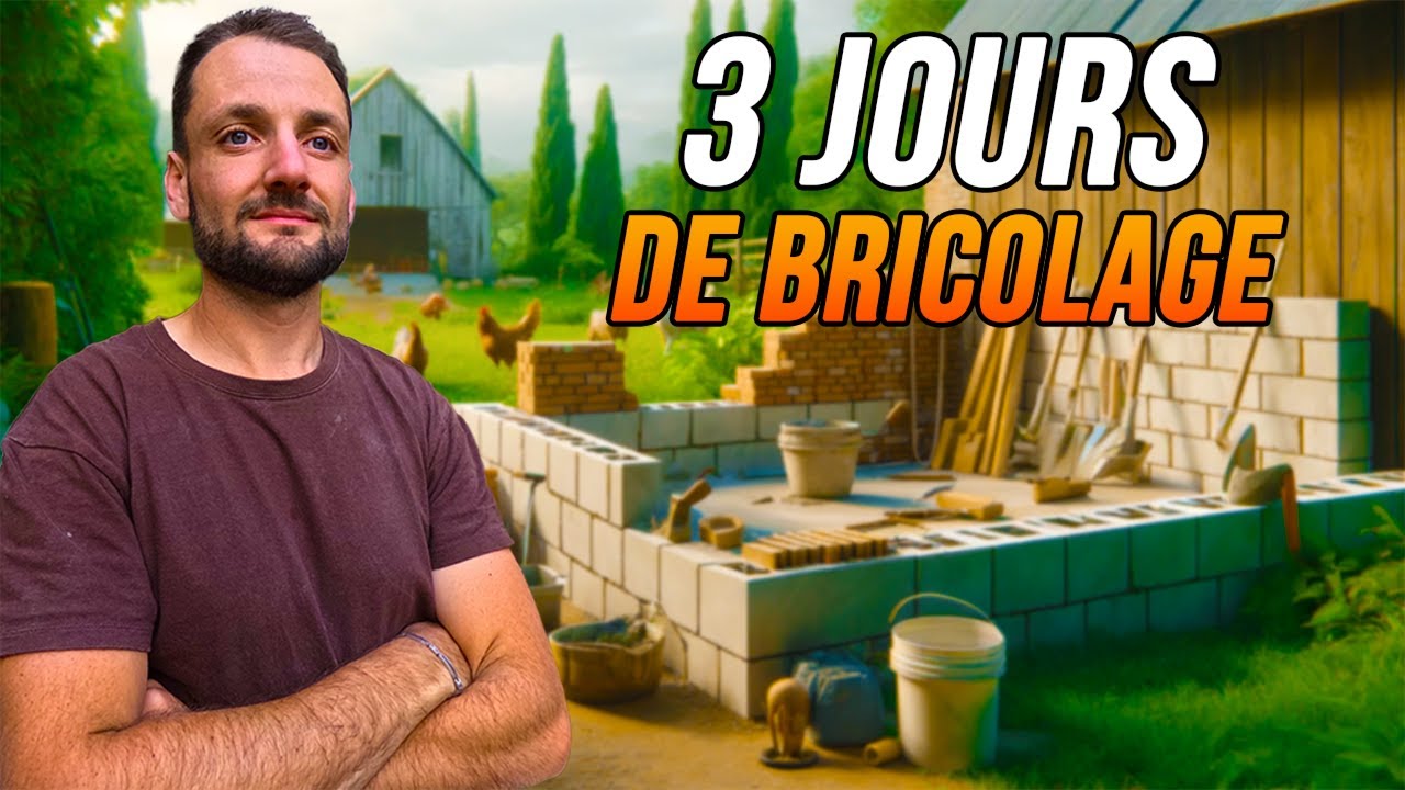 3 Jours de Bricolage ( Je cours partout ! )
