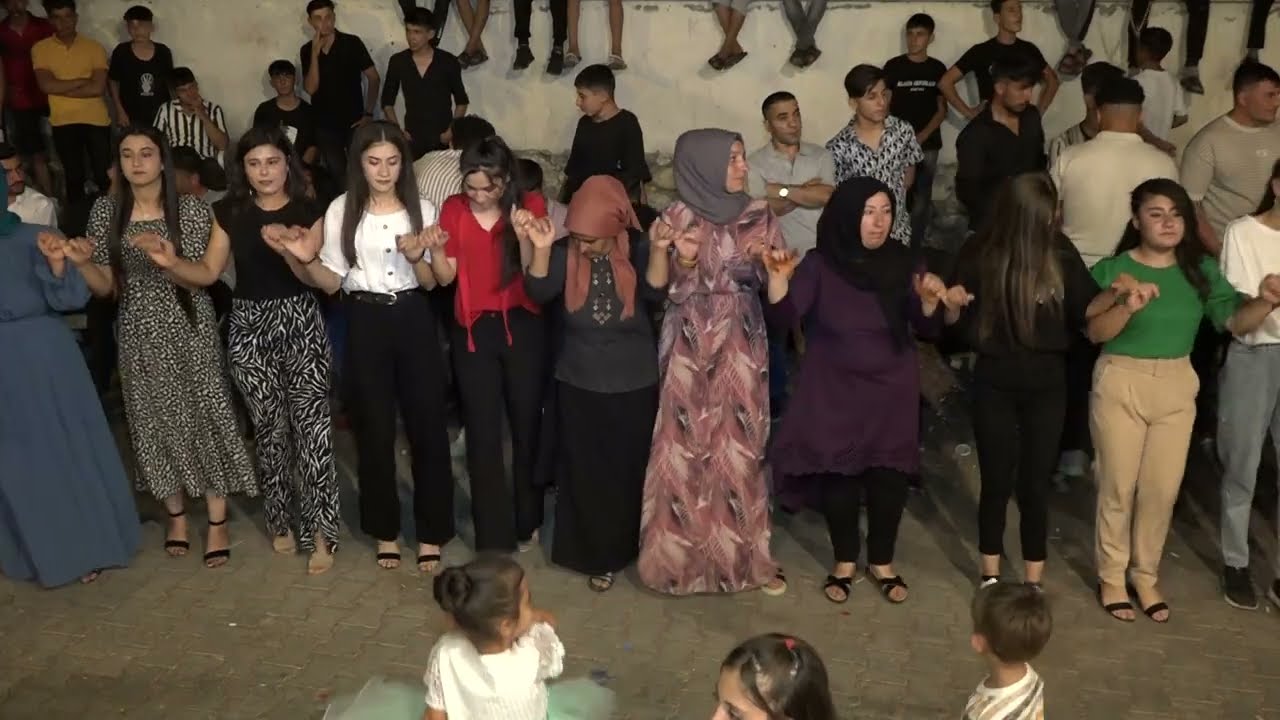 SÖĞÜTLÜ MIÇEY ARABAN/YUKARI KARAVAİZ KÖYÜ MUHTEŞEM DİLAN 2022 BEYZA KAMERA 05417711837