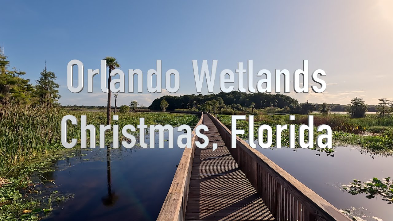 Orlando Wetlands, Christmas Florida (August 2025)