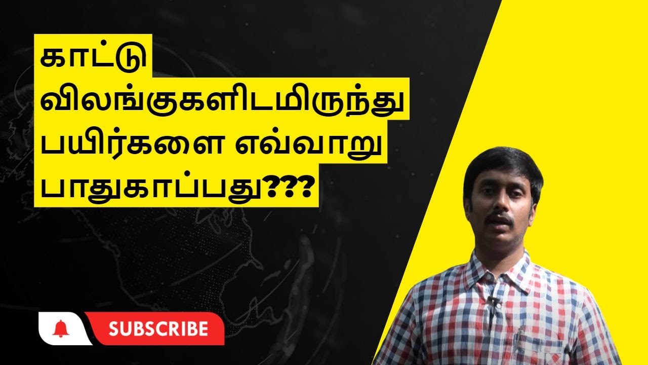 காட்டு விலங்குகளிடமிருந்து பயிர்களை எவ்வாறு பாதுகாப்பது?Formula to Keep Animals Away From Your Crops