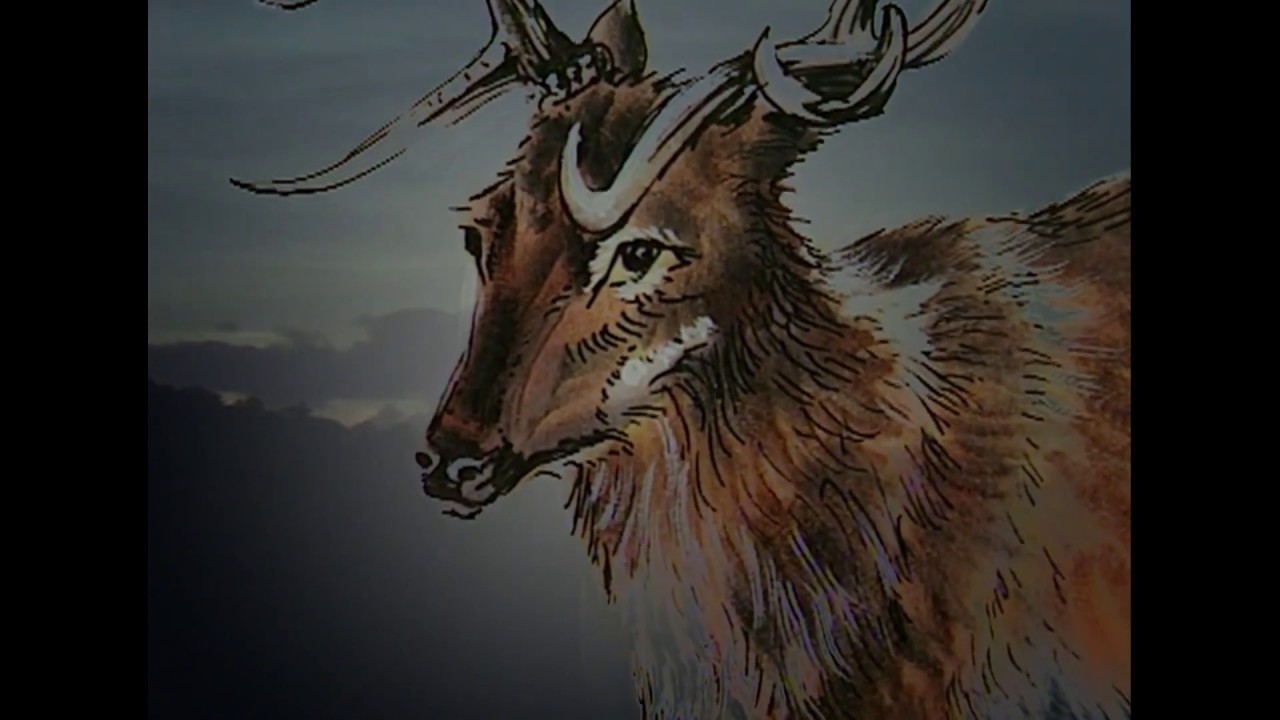 Lost Animals of the 20th Century Schomburgk's Deer