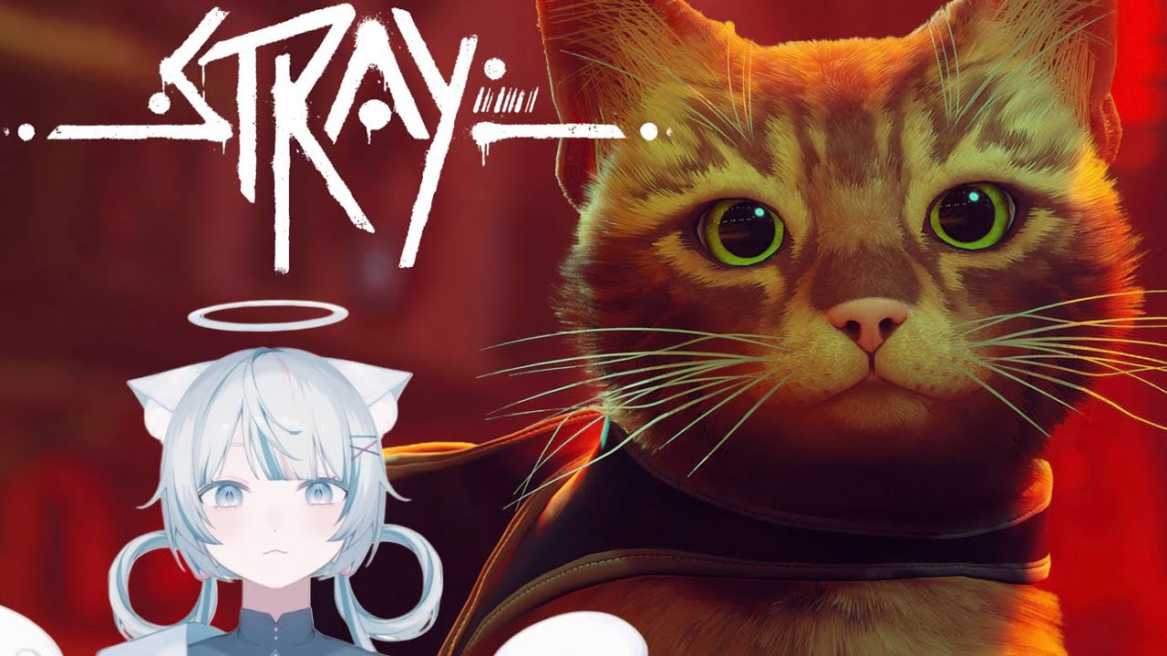 【stray】砂糖、猫になる＃２