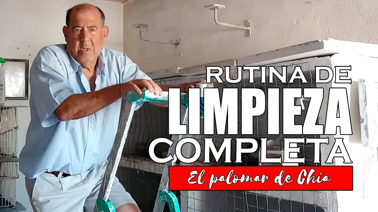 Cómo es un día de Limpieza y Cuidado Completa del Palomar 🧹🕊️ ✨#colillanos