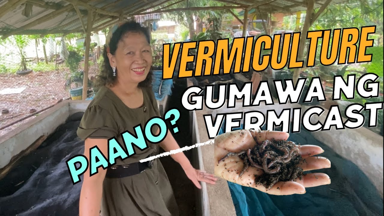 VERMICULTURE ( ito pala ang process ) #vermicompost