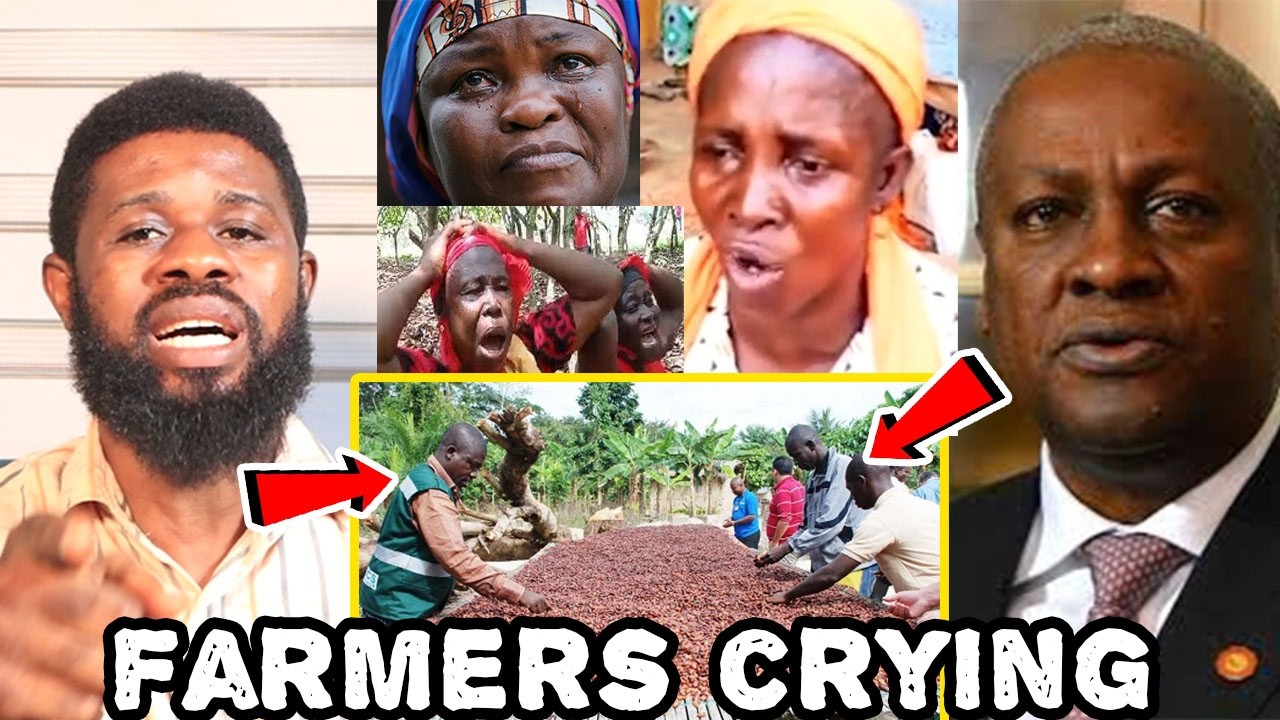 Break; Cocoa Farmers Cry!ng And F!res President Mahama For Cocoa Price Reduction as Ap Afriyie F!res